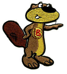 beaver fun badge